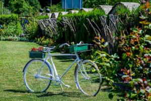 Комплекс Антик