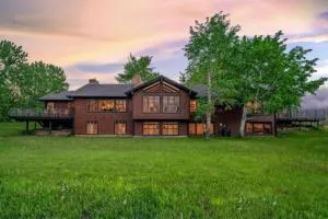 Moose On The Loose - 库克市