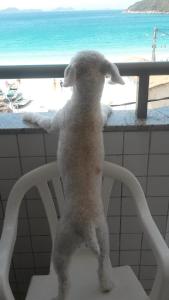 Caribe Brasileiro a 2 passos da areia