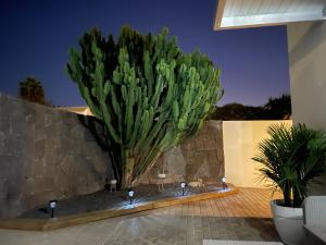 Villa Grey by Vulcano Homes