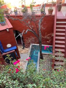 Antigua Casa del Limon