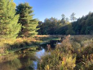 Little Birds Treehouse