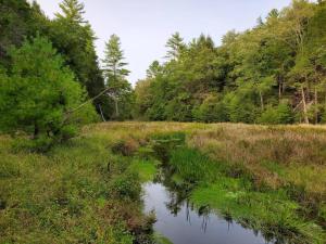Little Birds Treehouse