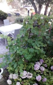 Apartments with parking space Banjol, Rab - 22422