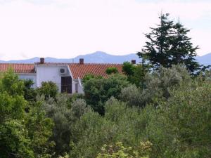 Apartments by the sea Barbat, Rab - 22423 