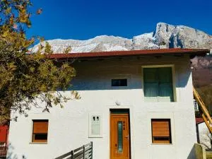 Apartma Pep - Drežnica