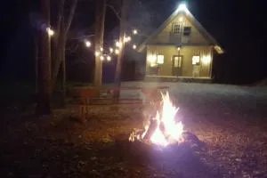 Mohican area secluded 2 bedroom cabin - Lucas