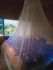 Coconut Homestay Tetebatu