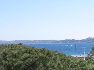 Appartement 2 Pièces avec Climatisation et Animal Admis, Centre Sainte-Maxime - FR-1-780-47