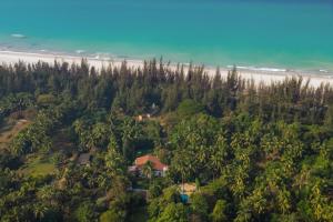 The Beach House by StayVista with Modern interiors, nearby beach, pool, lawn