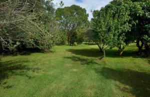 Quiet Country Retreat