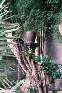 Villia magnolia sanur bali 巴厘島玉蘭別墅