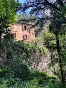 Mas cévenol bord de rivière piscine naturelle - Rousses