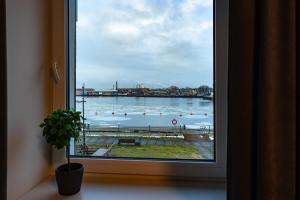 Ventspils jahtu osta, Ventspils Marina