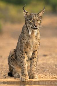 Hotel Ecologico Toral