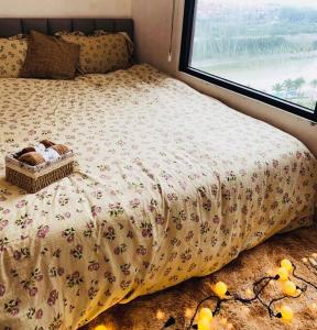 Homestay Vinhome Ocean Park S201