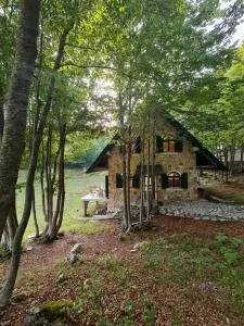 Lovćen Escape, Rustric House - Dolovi