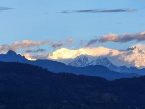 Red Panda Jungle Camp - A Unit of Davinchi Homes Pvt Ltd