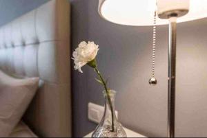 II Apartamentos Morales & Arnal