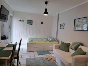 1-Raum-Apartment Klein - Fein - Mein! - Dahl