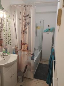 Appartements Le Francorsicat : photos des chambres