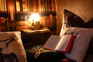 The Bridge - between NewZealand & OreMountains