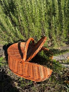 Bio Agriturismo Alba Etrusca di Cortona - Organic Farmhouse- Appartamento Lavanda-Appartamento Rosmarino - vasca idromassaggio esterna da maggio ad ottobre