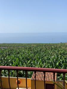 Apartamento Los Guirres