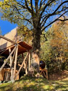 Villas Villa Foret et Spa : photos des chambres