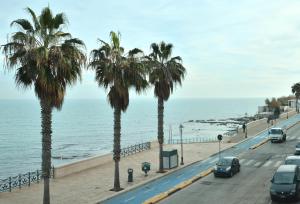 Frisio Reef Apartment- Sea View