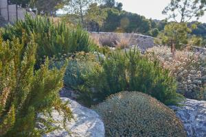 Complexes hoteliers Chateau Capitoul : Villa avec Piscine Privée