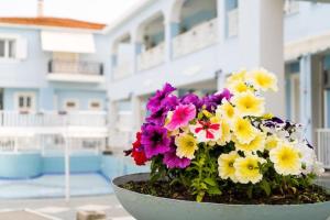 Annas Studios & Apartments