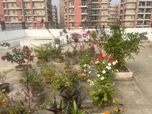 Anne’s Laces Homestay