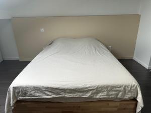 Appartements Duplex : photos des chambres