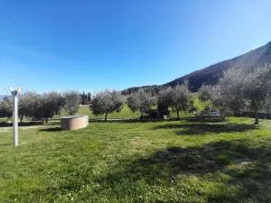 Casal dei Colli - Collicello