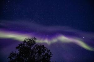 BLUEBERRY LODGE 5 personnes