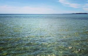 Amazing Home In Fjälkinge With Wifi