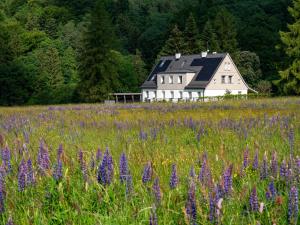 Butikowe apartamenty w Sudetach - TRZY MORZA - pod górą Trójmorski Wierch