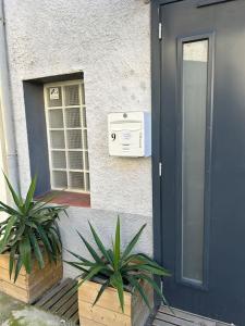 Studio Sanae