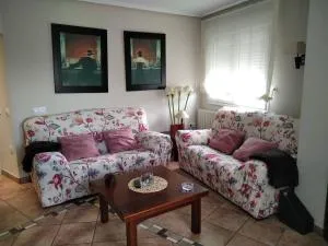 Spacious apartment in Bronchales - 90 m² - Pets allowed - Ojos Negros