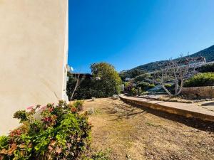 Appartements Appartement Libeccio 3 LUMIO : photos des chambres