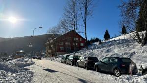 Apartmán Krakonoš 431