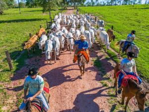 obrázek - Pousada Pantanal Experiência