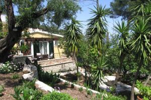 Nikatsas Apartment No 5