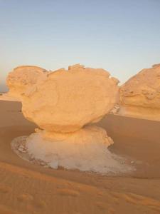 white desert safari camp