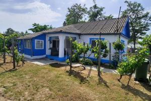 obrázek - Traditional House in Danube Delta