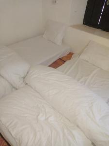 Guest house tassaoute