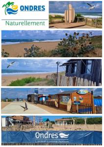 Chalets Chalet T3 Nature Piscine Tennis : photos des chambres