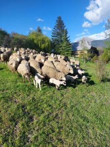 Hotels Hotel & Restaurant Le Chalvet : photos des chambres