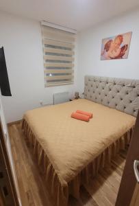 Apartman JANA Zlatibor